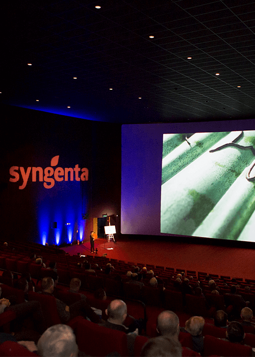 Konferencje Zimowe Syngenta
